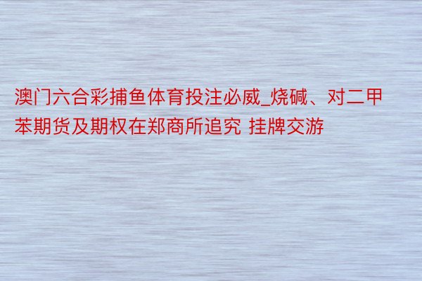 澳门六合彩捕鱼体育投注必威_烧碱、对二甲苯期货及期权在郑商所追究 挂牌交游