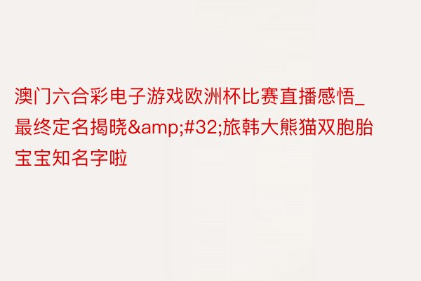 澳门六合彩电子游戏欧洲杯比赛直播感悟_最终定名揭晓 旅韩大熊猫双胞胎宝宝知名字啦